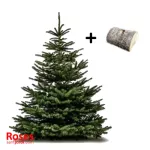 ARBOL NAVIDAD 125/150 CM + BASE