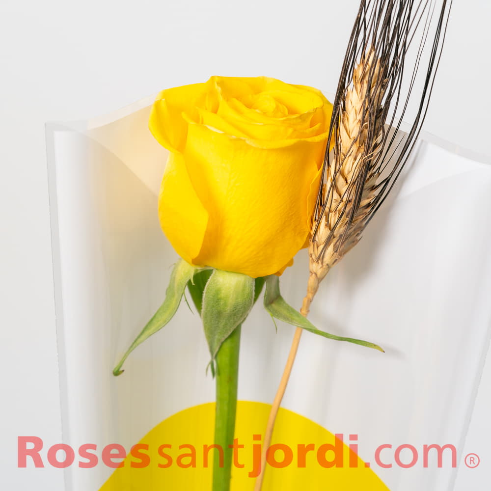 ROSA AMARILLA - Venta de rosas para Sant Jordi