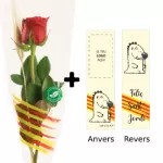 Rosa en bossa BIO + Punt llibre personalitzat