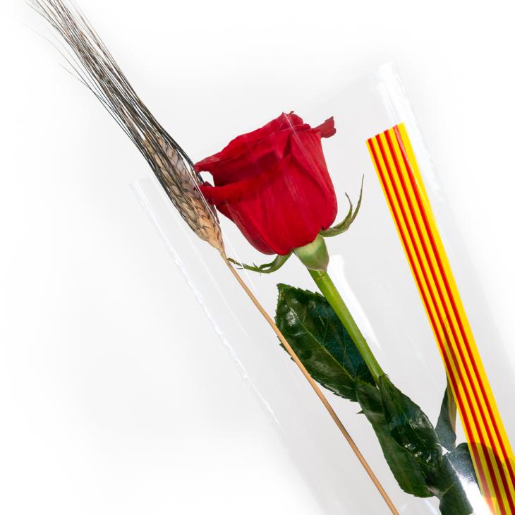 Rosa de Sant Jordi