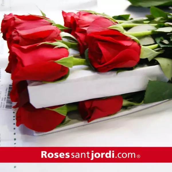 Recaudar fondos en Sant Jordi