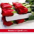 Organizar una venta de rosas para recaudar fondos en Sant Jordi